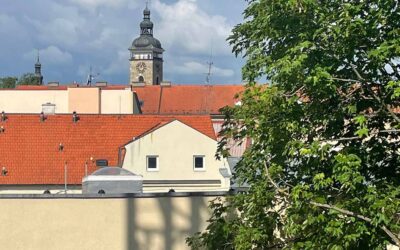 Panorama střech s Černou věží